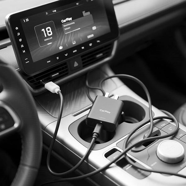 <h4>Sick of your messy in car?</h4>
